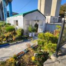 리틀 포레스트 펜션 이미지