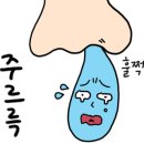 애플스테이 이미지
