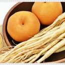 삼성글로벌정형외과의원 이미지