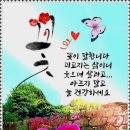 선비마음 사군자 이미지