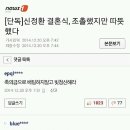 신정환결혼에대한댓글 이미지