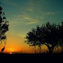 시티번역행정사사무소 이미지