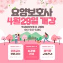 백세요양보호사교육원 이미지