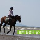 김제지평선홀스랜드 이미지