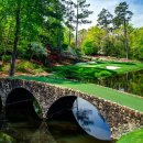 오거스타 이미지