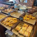 오베르망 이미지