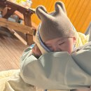 전일농장 | 무안 회산백련지 오토캠핑장 방갈로 6인실 후기｜새단장 가족캠핑장 추천