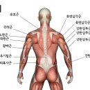 리메디얼 휘트니스 전남대공대점 이미지
