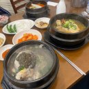 백.S주방 | 부산동래삼계탕 온천장밥집 백년백세토종삼계탕 닭도리탕 주차
