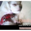 잠꾸러기 이미지
