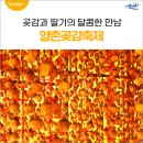 영조농장 | 양촌곶감축제, 논산 SNS 서포터즈가 전하는 곶감과 딸기의 달콤한 만남
