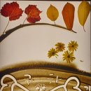 영랑초등학교 이미지