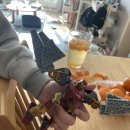 인라인롤러장 트랙 | 양주 독바위공원 인라인스케이트장 이용법｜아이들과 가기 좋은 넓은 인라인 트랙, 픽시는 노노