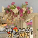 에이프릴스 홈 | 아기랑여행 ┃ 3대가족여행 충남보령 2박3일 여행코스 ┃대천해수욕장 ┃국본가 ┃보령박물관 ┃갯벌...