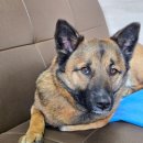 대석카센타 이미지