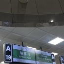 예원편의점 | 12월 상해 여행ㅣ아투어호텔 와이탄 , 상하이 예원 왕홍체험 향장각 후기 (1)