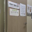 선여빌 | 2026 지방선거알바 사전투표알바 후기 : 수당, 난이도, 선거알바지원방법