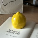 아뜰리에르플리 이미지