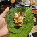 가현동(가현) | <안성/달빛장어> 앉아서 먹기만 하면 되는 풍천민물장어 맛집