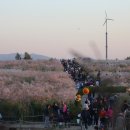 하늘공원 이미지