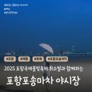 포항바다국제연극제 | 포항 국제불빛축제 불꽃축제 우천취소 포항 송도해수욕장 포송마차 야시장 후기