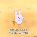 의견 | 짠 한 번에 친해지는 곳, 소수의견제주 혼술바 오픈런 후기 🍹