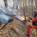 김삿갓면-39 이미지