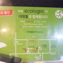 에콜로지아 이미지