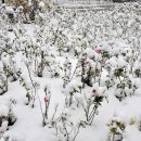 뚝섬한강공원-11 이미지