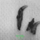 비바동물병원 이미지