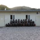 주성농장 이미지