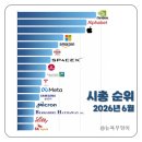 니가왜거기서나와 | "니가 왜 거기서 나와?" 전세계 시총 순위 Top15