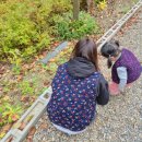 땡큐펜션 | 울산 단체펜션 추천 반구대옛집 아기랑 촌캉스 후기