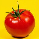 쉽게 그리는 색연필 보테니컬아트 | "보테니컬 아트 뜻"과 색연필 표현/ 김포 장기동 크리스티 미술