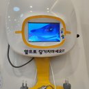 살롱드 엠제이(Salon de Mj) | 워킹맘의 주말 ( 함소아한의원 / 브레인 나우 / 스타필드 / 하남 주렁주렁 / 살롱 드 엠제이)