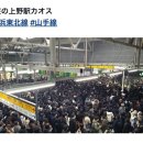 도쿄 헤어샵 | 2025-2026 도쿄(3) -