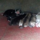 하늘내린강산 이미지