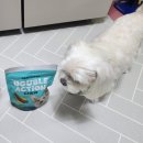 수인덴탈 | ​🐶 우리 집 댕댕이들의 치아 건강 지킴이! 덴티멀 더블액션 츄 오리지널 솔직 후기 (강사모 체험단) 🦷✨