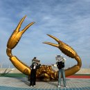[2024년 영덕대게축제] 강구항대게거리 방문 후기 좋은 대게 고르는 방법 및 꿀팁 내돈내산
