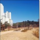 THE 폼나개 이미지