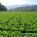 아름이농장 이미지