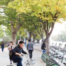 강남구청 대여소 동아일보