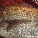 성도상회 이미지