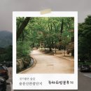 관광단지 주차장 | 용문산 관광단지 주차장 요금 &amp; 방문 후기