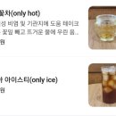 코알라멜로우 이미지