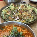새로나경로당 | 유성 봉명동 맛집｜양이 진짜 많은 공주칼국수&amp;수육 방문