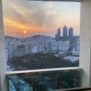 차지우동물병원 | 우당탕탕 부산 적응기