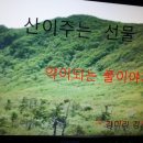 산이주는선물 이미지