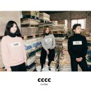 씨와이컴퍼니 이미지