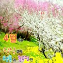 희선